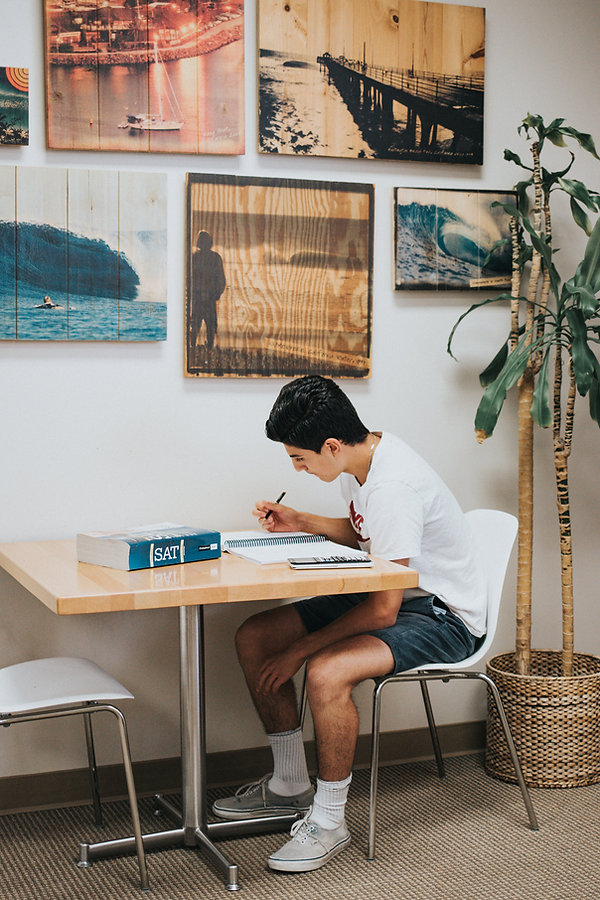 Private tutoring student