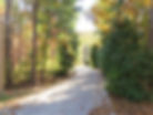 PWR Autumn