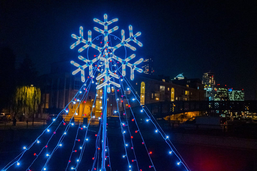 Tallest floating Christmas tree in London