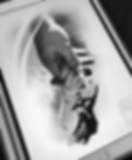 #wannado #design #tattoo #sketch #project
