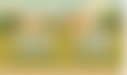 Why Two Nearly Identical Lots Can Have Wildly Different Prices