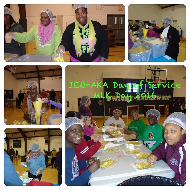 MLK Day of Service