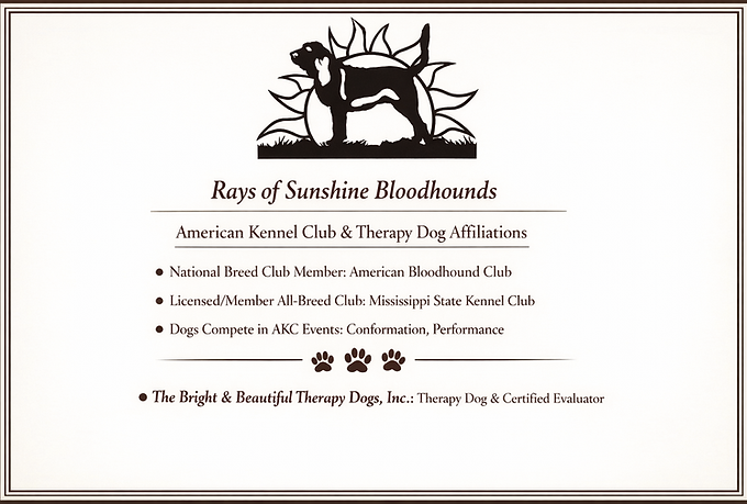 Rays of Sunshine Bloodhounds’ AKC clubs and therapy dog affiliations