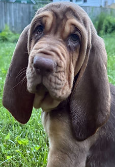WALTER 2_edited.jpg