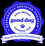 Good Dog Responsible Breeder