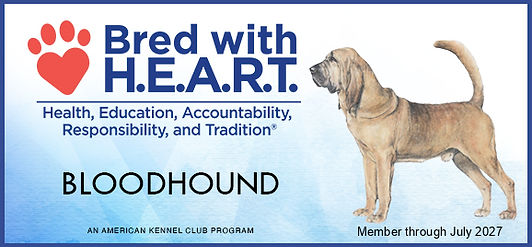 BRED WITH HEART 2027 IMAGE.jpg