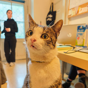 Razglednica iz pisarne #16