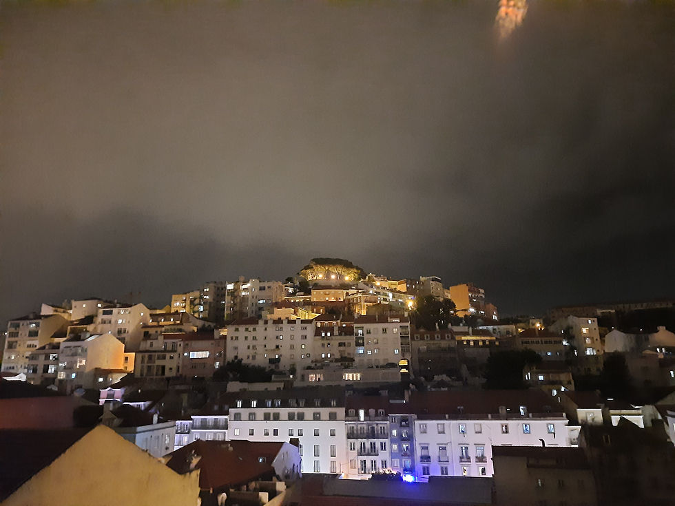 14. ladijsko poročilo: lizbonski seznam