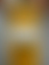 Razglednica iz Stare elektrarne #12