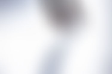 Sami mladi v Stari elektrarni ...