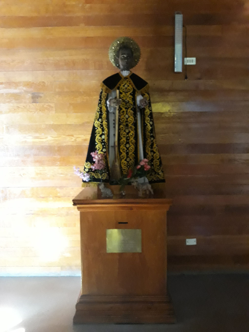 San Martín de Porres