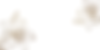 Cover .png