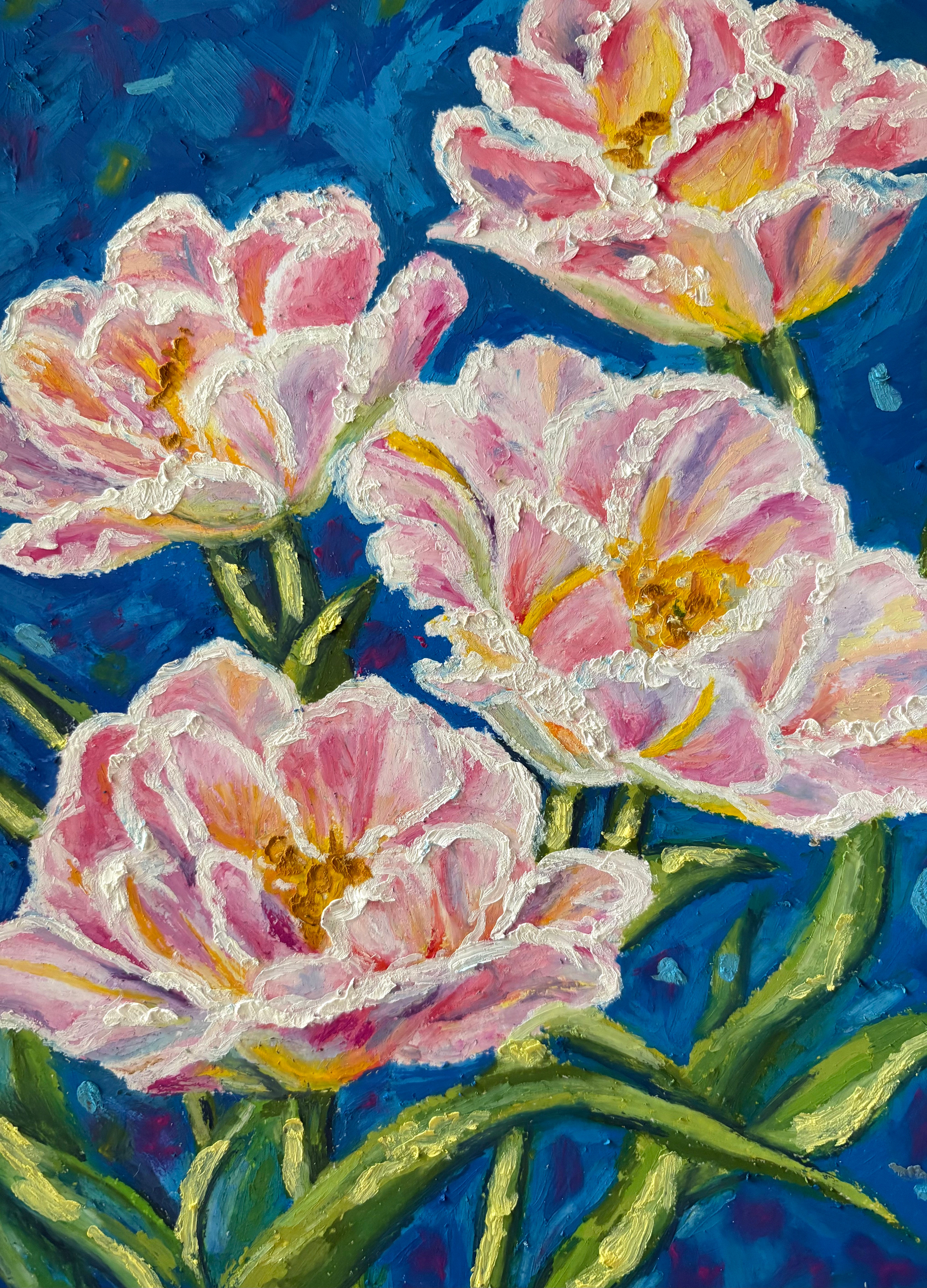 Spring Tulip’s