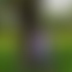 How to be an effective Ally