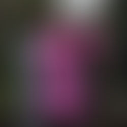 Mental Health Boosters