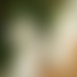 I wanna smell like you...