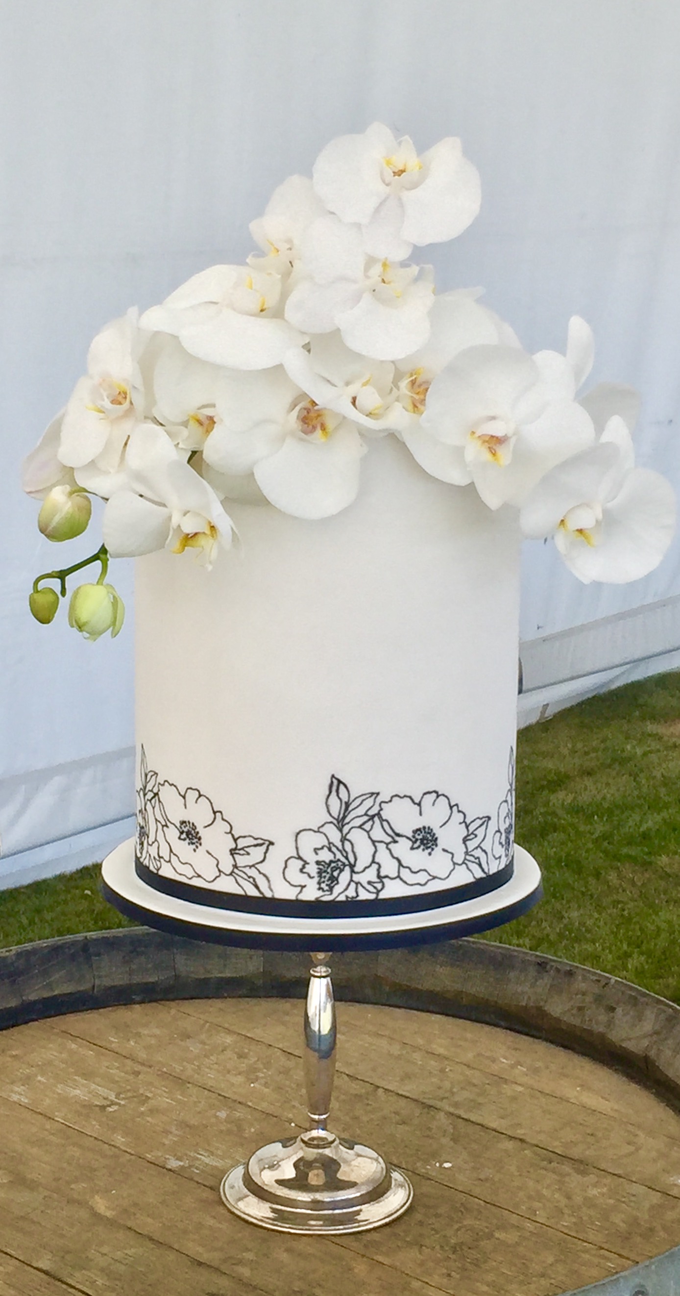 Cakes of Wanaka