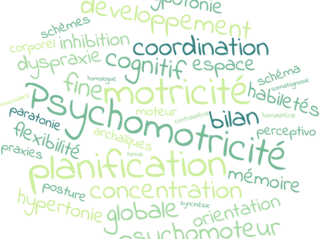 Lexique psychomoteur