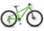 2 wheel bike green.jpg