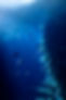 _DSC5765修.jpg