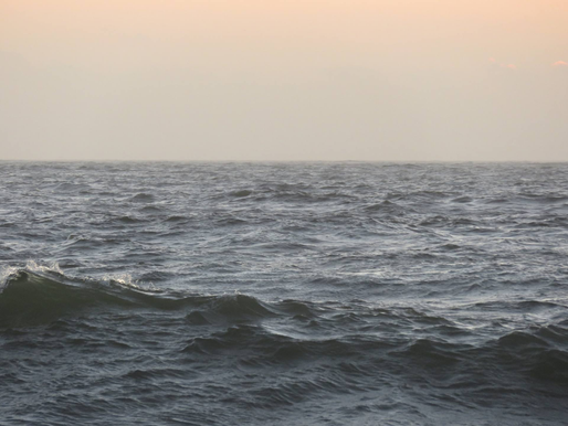 NaPoWriMo'23 Day Ten: Our silence lives in the bodies of others