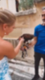 Video op insta