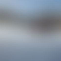 February 2022 News Letter