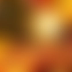 September 2022 News Letter