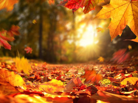 September 2022 News Letter