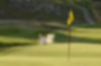Joy Meshulam executes a perfect bunker shot on the course. (Photo courtesy of Joy Meshulam)