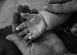DSC_1716-2-4-2