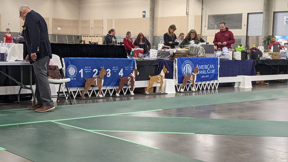 Boxer Wood Cutouts.jpg