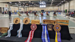 Boxer Class and Prizes.jpg