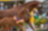 IMG_5841.JPG