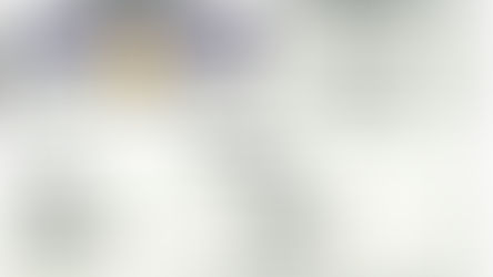 Les stats de Reims-Bordeaux (4-1)