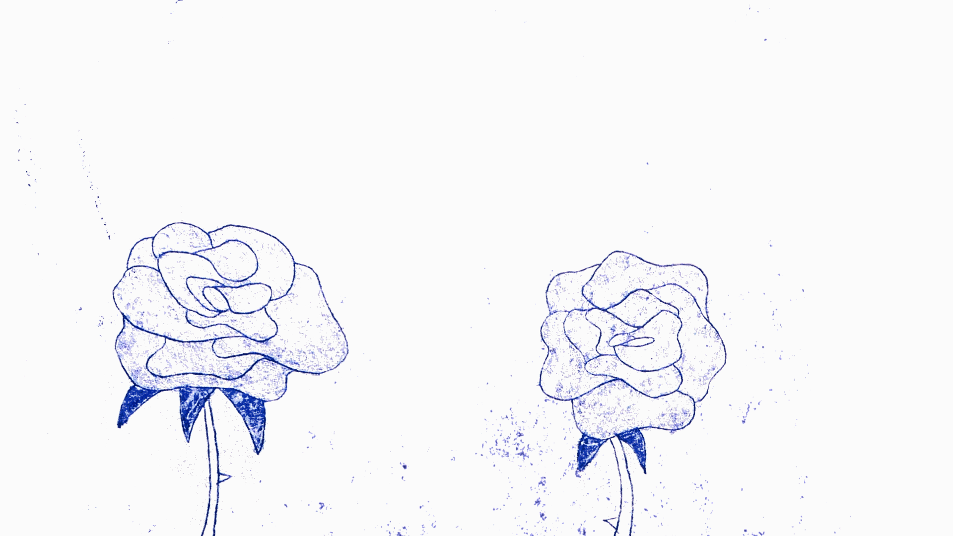 Précieuse étoile_1.gif