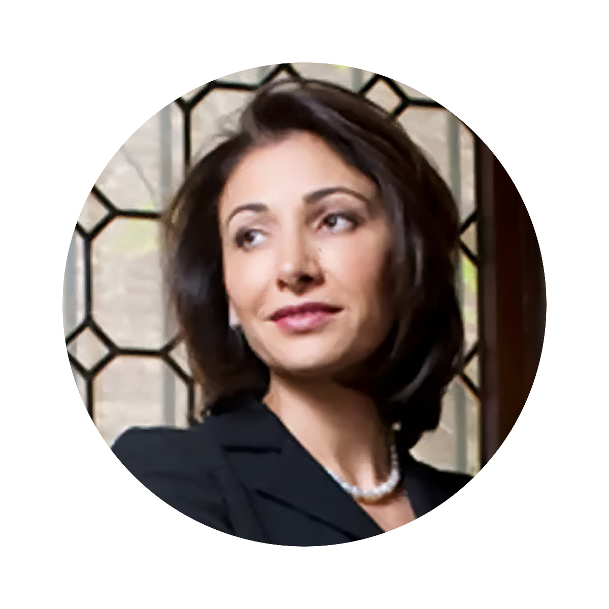 NYC-master-course-faculty-dr-haideh-hirmand.jpg