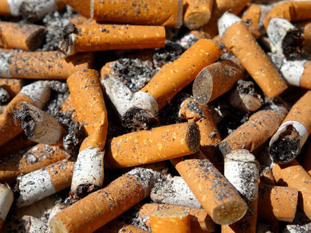 Startup mexicana transforma bitucas de cigarro em celulose limpa