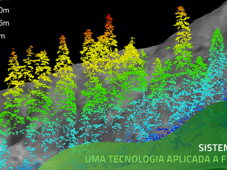 LiDAR uma das mais promissoras tecnologias aplicado a florestas