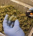 pic from uganda article.jpg