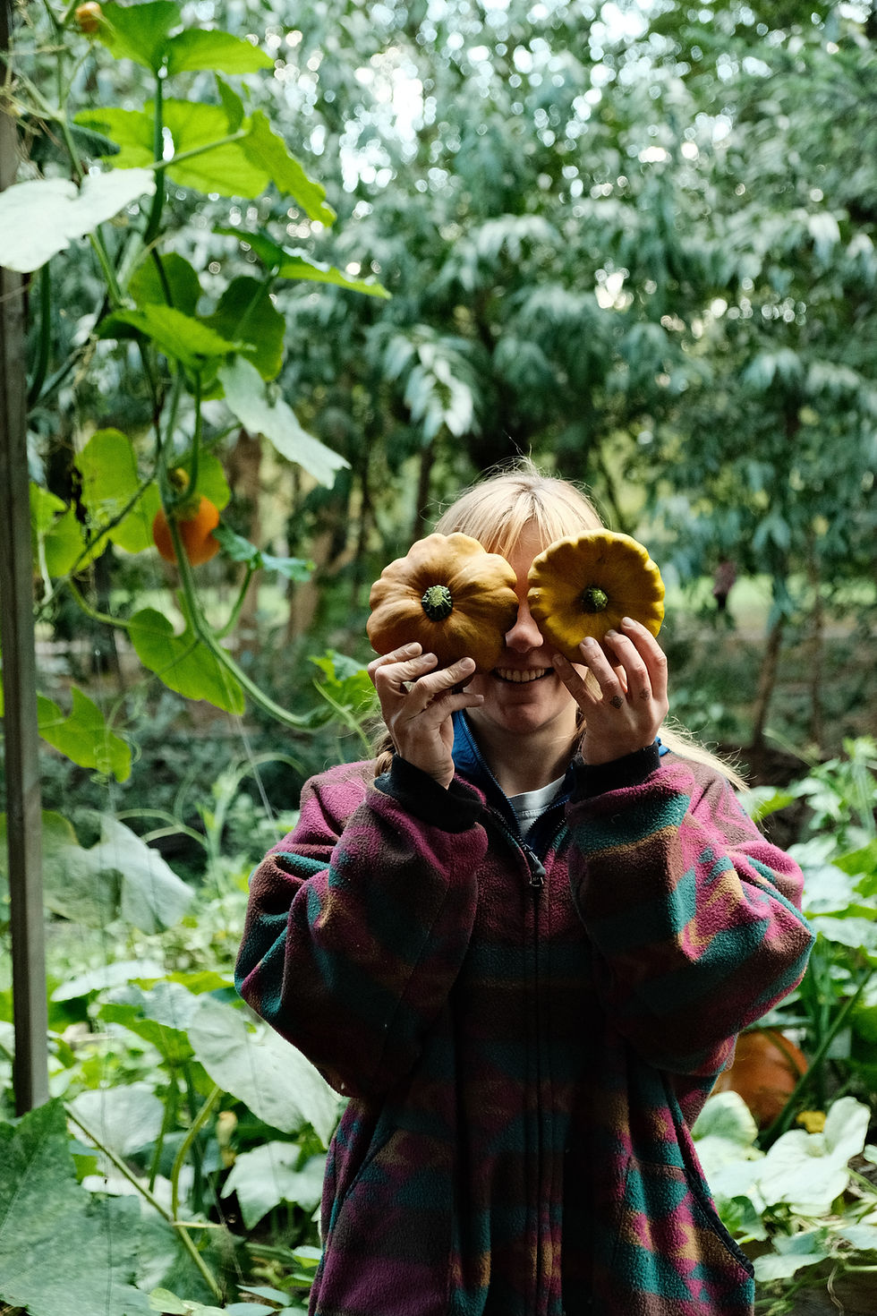 Krąg fermentu - Lista rezerwowa