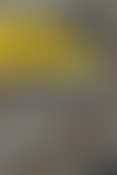 The Way We Employ Our Team of Virtual Assistants -- And Why We Do It Outside of the Box