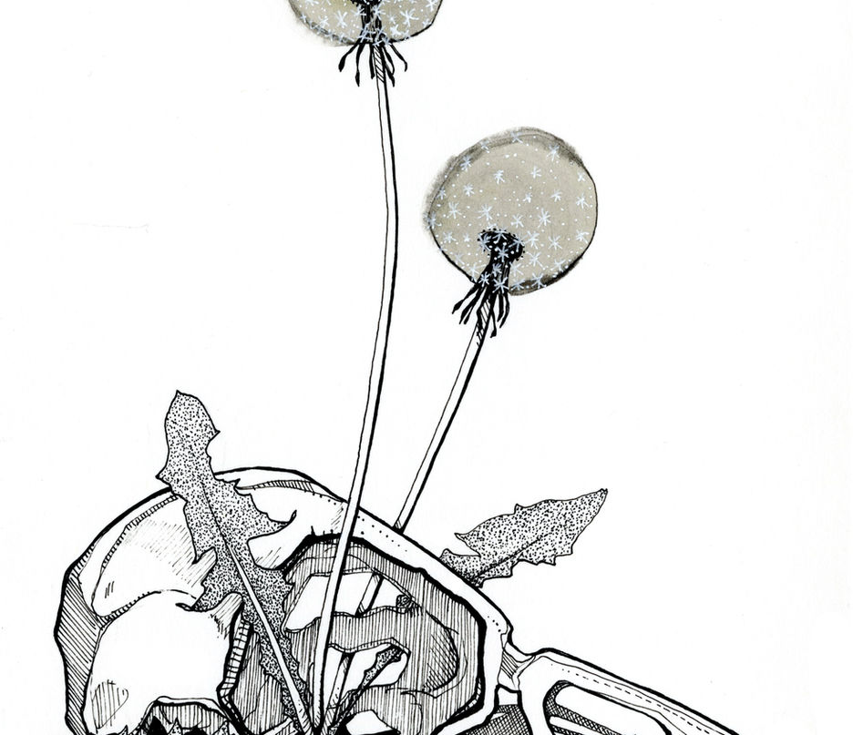 Wish Bones 1.jpeg