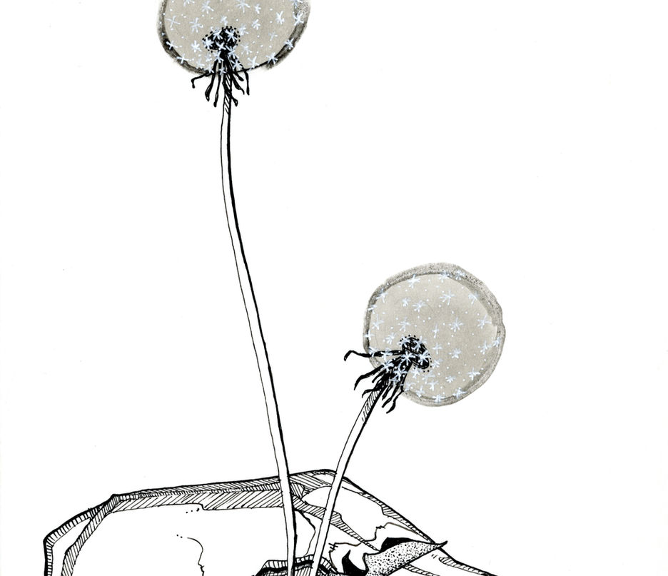 Wish Bones 3.jpeg