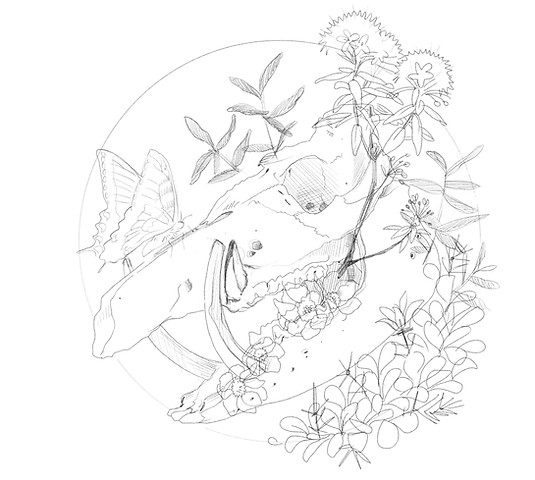 Tusk Farm-skull-v2.jpg