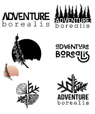 Adventure Borealis Sketches 2.png