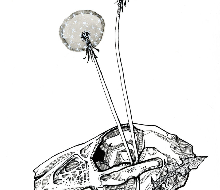 Wish Bones 2.jpeg
