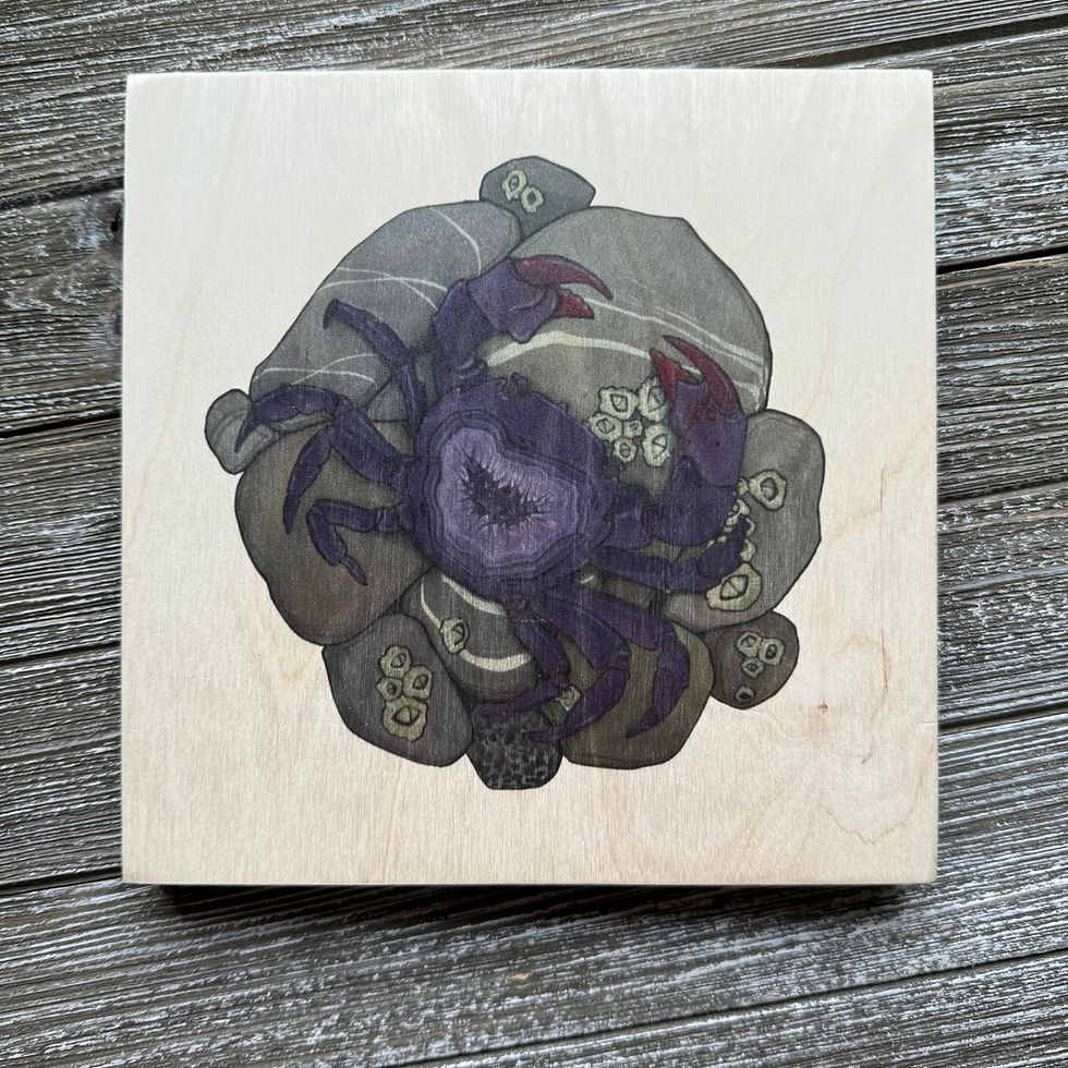 Thumbnail: Wood Panel Print - Salt & Stone IV