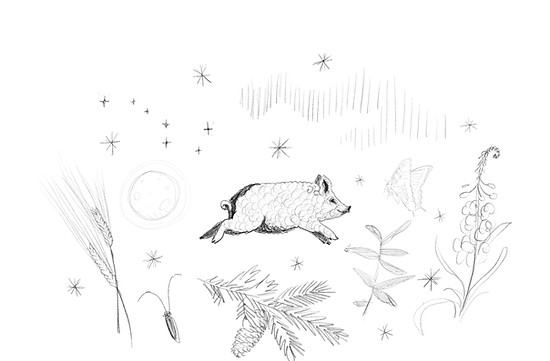 Tusk Farm - oval-v2.jpg