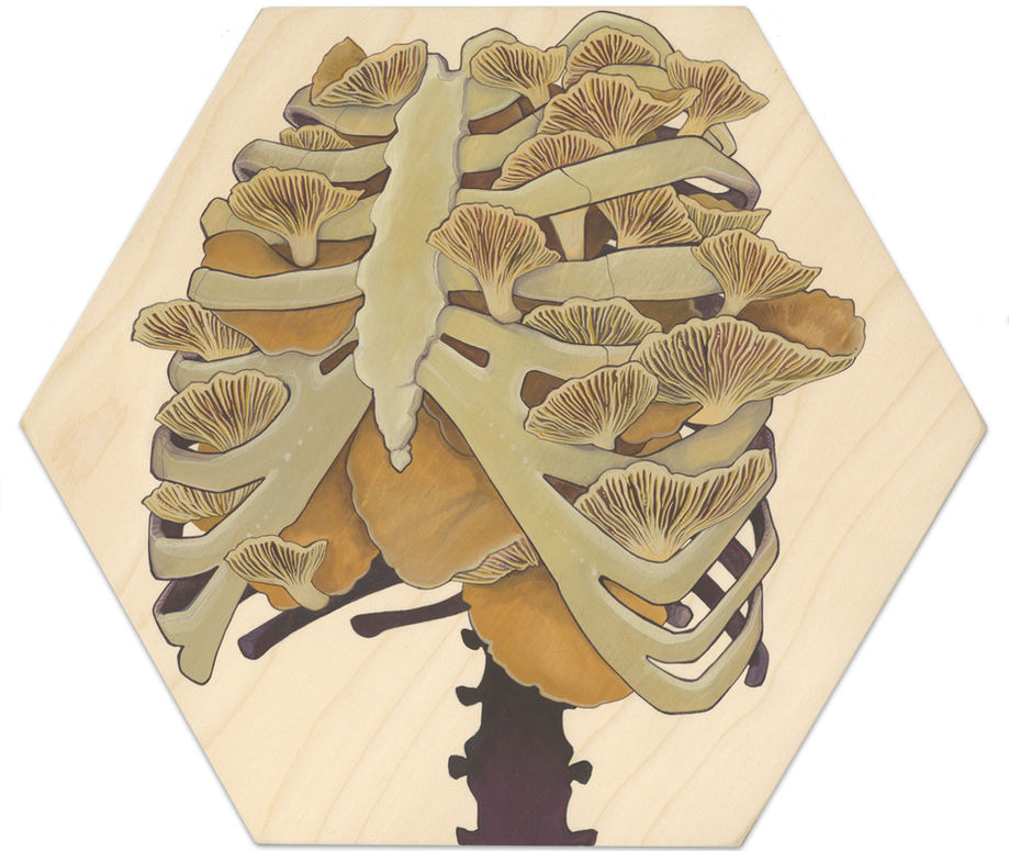 Gills-web.jpg